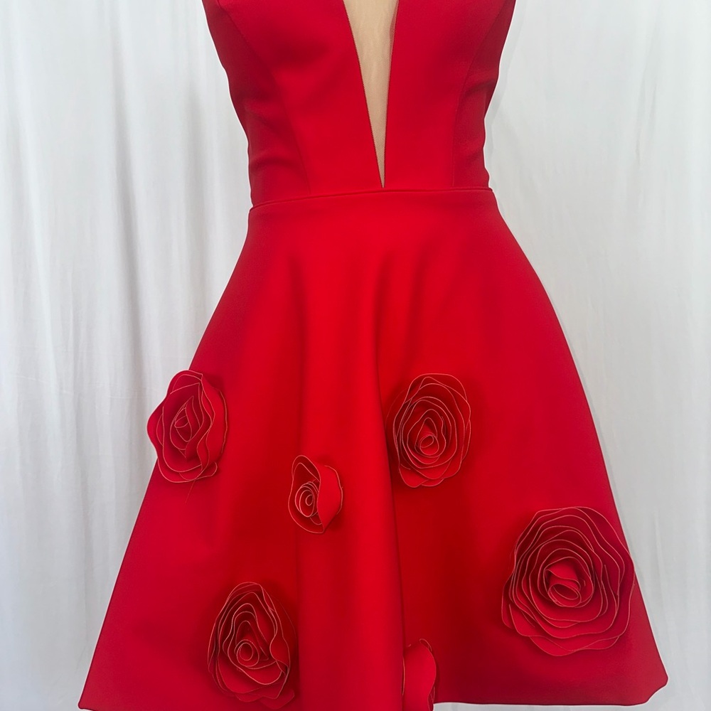 Tarik Ediz Red Rose Appliqué Mini Dress